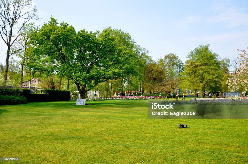 Green field with a tree in Keukenhof park Holland Green field with a tree in Keukenhof park in Holland 2015 Stock Photo