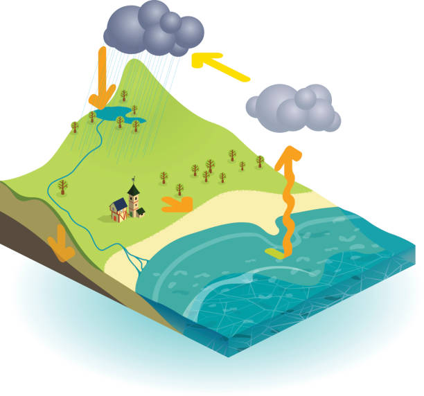 Isometric illustration of the water cycle An illustration of the water cycle on a plain white background. The base of the image is a blue colored body of water with tan sand at it's edge. There is a green hill with a mountain peak that has a blue lake at its base. From the lake, a small river or stream is flowing down towards the sea. Over the mountain top are gray clouds to show that rain is collected in the lake and flows to the sea. Over the sea is a cloud showing that water is evaporated and condenses into a cloud. Orange arrows show the direction of the water. waterfall infographic stock illustrations