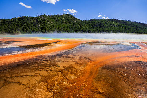 istock Grand Prismatic Spring in yellowstone USA 482298760