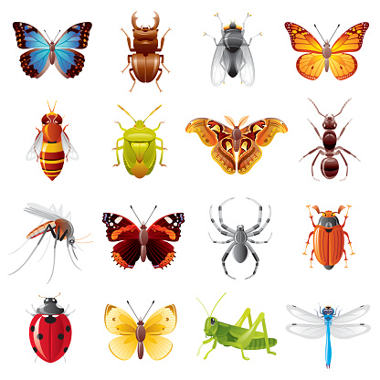 Fine colorful icon set with 16 insects, which you can meet in different places of our planet.