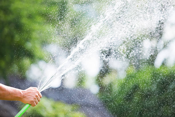 istock Man watering the garden from hose on sunny day 482299680