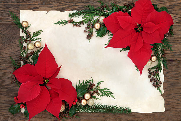 istock Poinsettia Flowers Border 482302428
