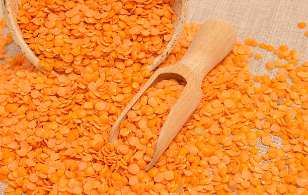 the seeds of red lentils on canvas