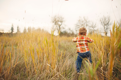 Boy playing in tall grass in autumn.