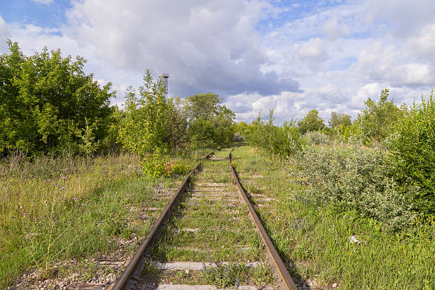 istock The railroad trended to the right. 482306012