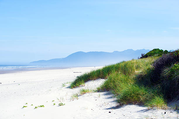 istock Deserted beach Pacific Ocean west Oregon Garibaldi 482306398