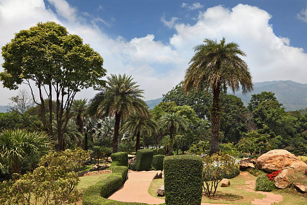 istock Beautiful park in Thailand 482306698