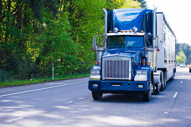 istock Dark blue classic monster big rig semi truck trailer chrome 482306828