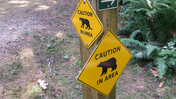 Bear and Cougar in Area Caution Sign