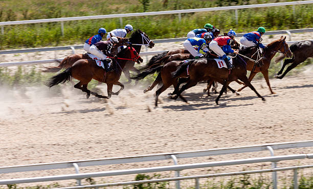 istock Horse racing in Pyatigorsk city 482307606