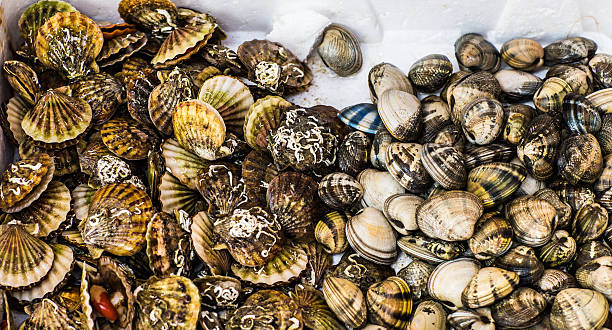 istock Fresh seafood  in fish market 482307784