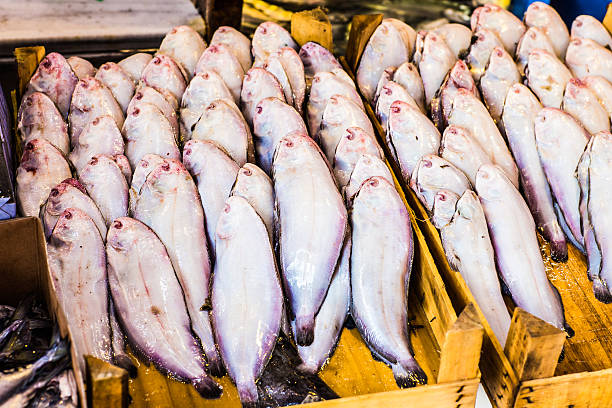 istock Fresh seafood  in fish market 482307788