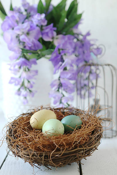 istock Eggs and Nest Holiday Themed Still Life Scene in Natural 482308331