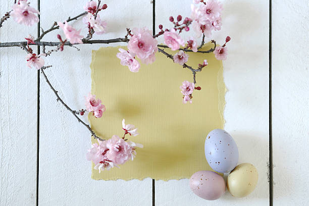 Holiday Themed Still Life Scene in Natural Light With