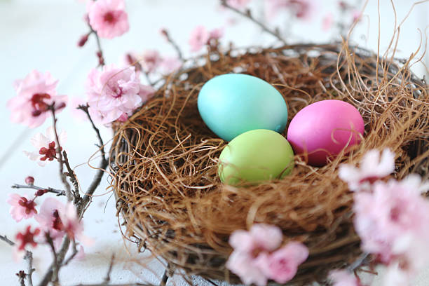 istock Colorful Holiday Themed Still Life Scene in Natural Light 482308511