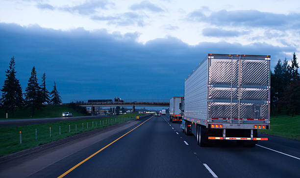 istock Evening convoy semi trucks trailers on straight interstate highway 482310444