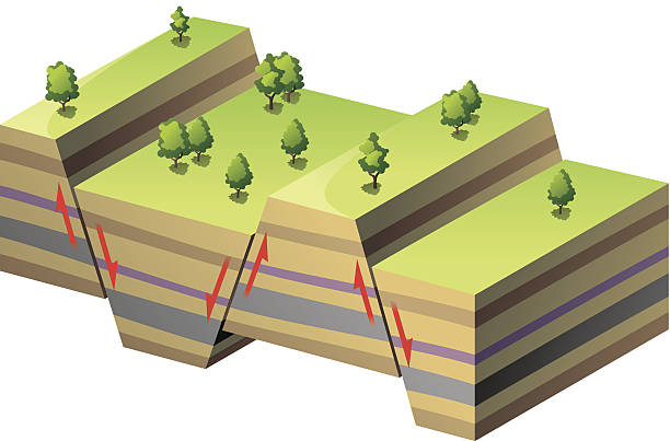 Graben and Horsts Depressed (Graben) and raised (Horst) blocks of land bordered by parallel faults. fault geology stock illustrations