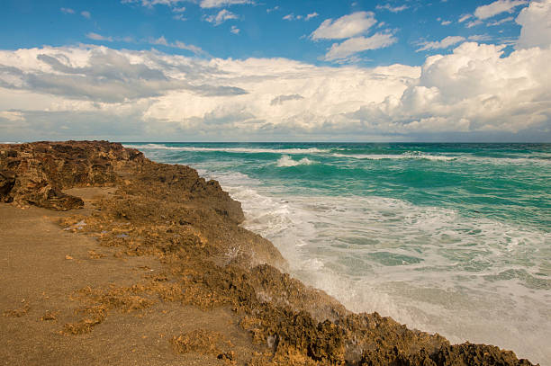 istock Hutchinson Island Geological Formation 482313189