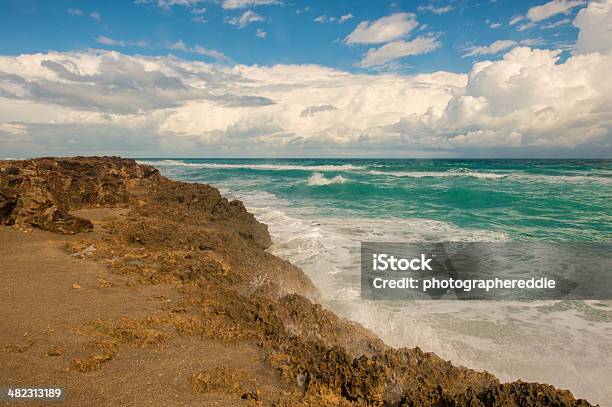 Hutchinson Island Geological Formation Stock Photo - Download Image Now - Beach, Blue, Brown