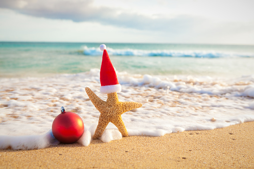 A starfish with a Santa Claus Hat enjoying a winter Christmas vacation on a tropical beach with aqua water and wave in the background. Tropical Christmas winter holiday theme design with copy space available. Photographed on location on Kekaha Beach of Kauai, Hawaii, USA.