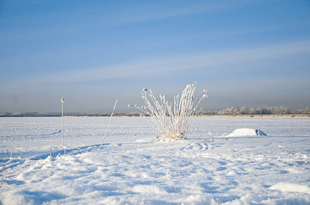 istock on ice of a frozen lake 482317422