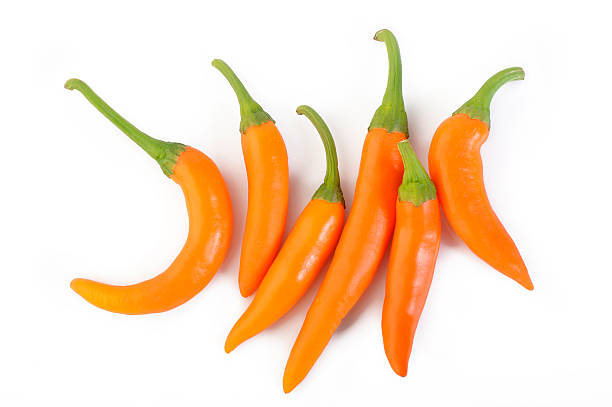 istock Hot chili peppers 482318144