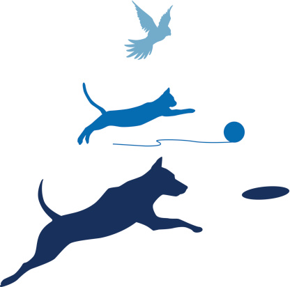 Silhouette of a cat and dog leaping and a bird in flight. Files included – jpg, ai (version 8 and CS3), svg, and eps (version 8)