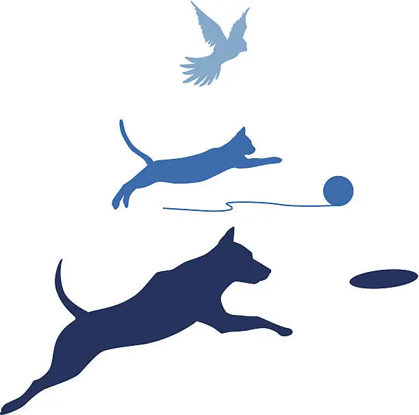 Vector illustration of Dog Cat Bird Jump