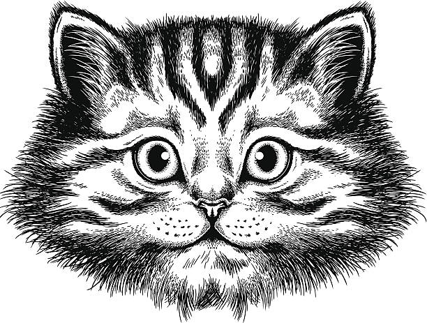 Cat portrait vector art illustration