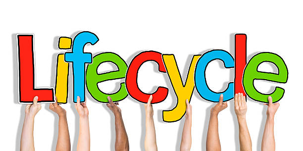 istock Lifecycle Arms Raised Colorful Multi Ethnic Live Concept 482321916