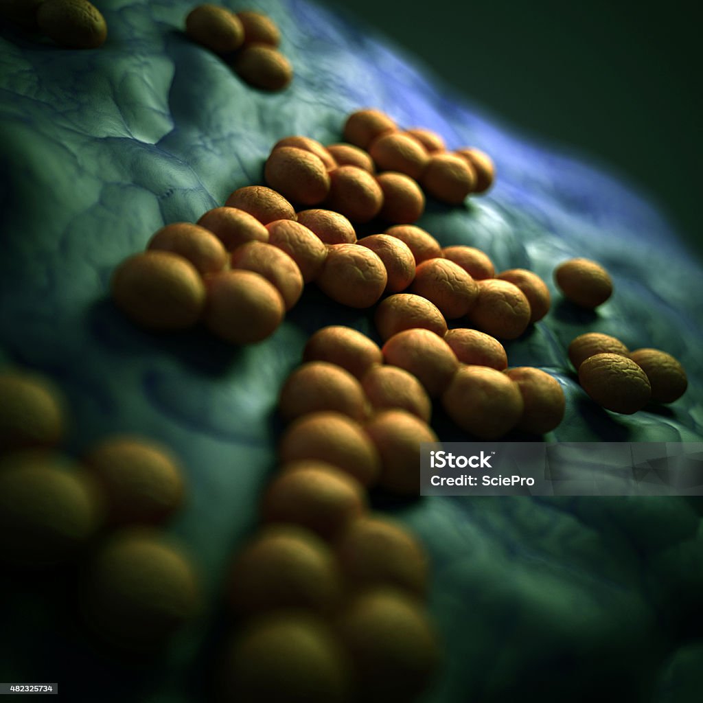medical illustration medical bacteria illustration of the mrsa 2015 Stock Photo