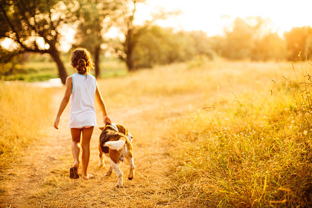Little girl walking her beagle dog in the nature on sunset 