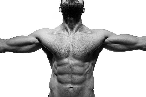 男性筋肉の胴体 - men anatomy the human body body ストックフォトと画像