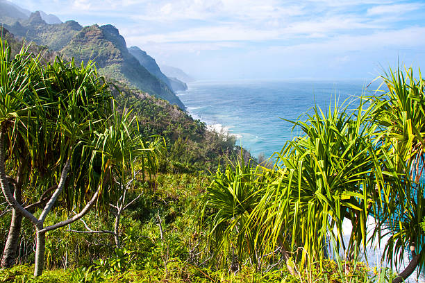 kauai o lado selvagem - kauai tropical climate green travel destinations imagens e fotografias de stock