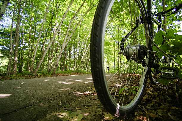 istock bike on forest road 482330050