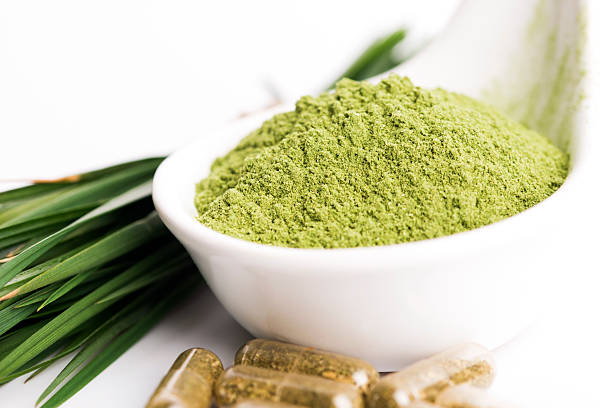 istock Young barley grass. Detox superfood. 482333396