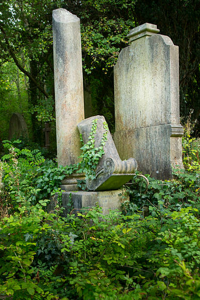 istock Toppled Pillar on a 19th Century Grave 482333938