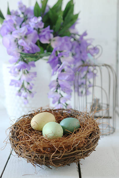 istock Holiday Themed Still Life Scene in Natural Light With Eggs 482334029