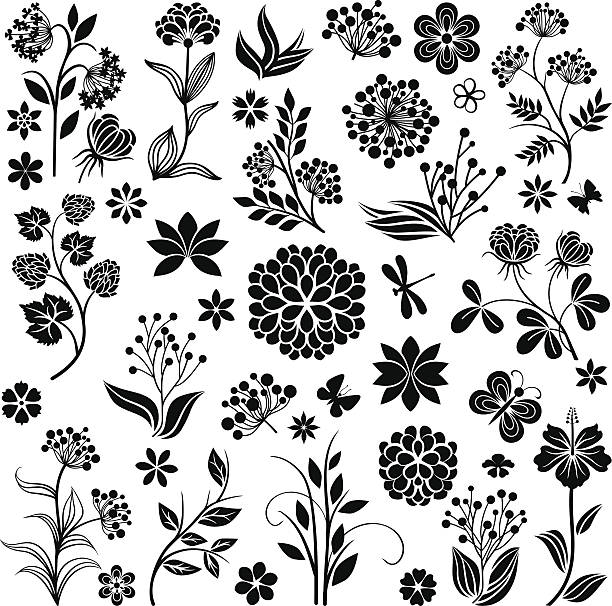 с цветочным collection - single flower chrysanthemum design plant stock illustrations