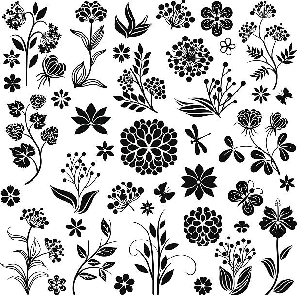 Floral Collection Collection of flowers and floral elements wild chrysanthemum stock illustrations