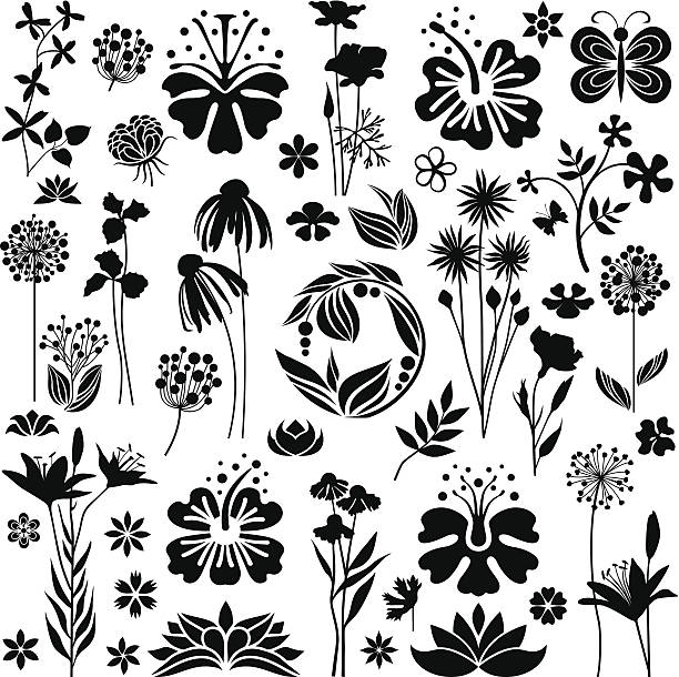 식물학 컬레션 - rose flower bed silhouette flower stock illustrations
