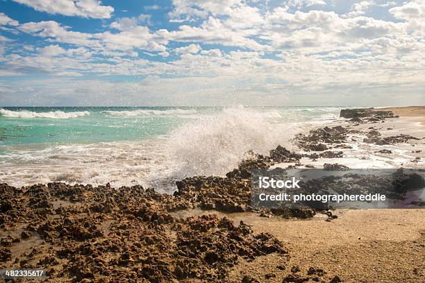Rock Formation On Hutchinson Island Stock Photo - Download Image Now - Island, Florida - US State, Beach