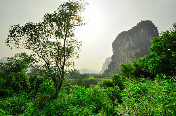 istock Li river mountain landscape in Yangshuo Guilin 482337235