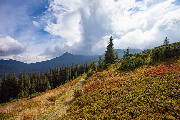 istock road to the mountains with blue sky in Carpathian 482338097