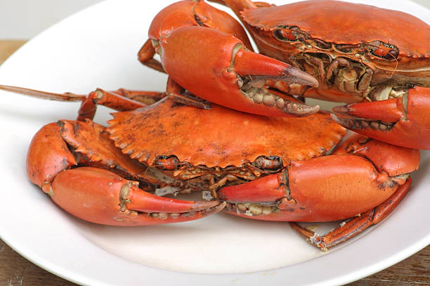 Prepared Crab stock photo