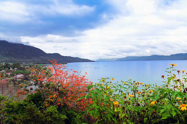 Flowers and Lake. stock photo