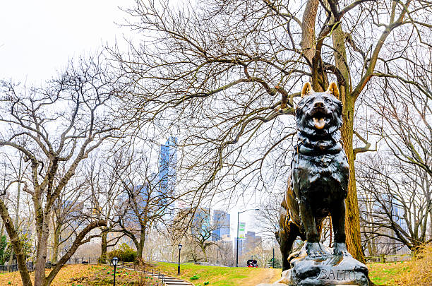 balto central park di new york - antitoxin foto e immagini stock