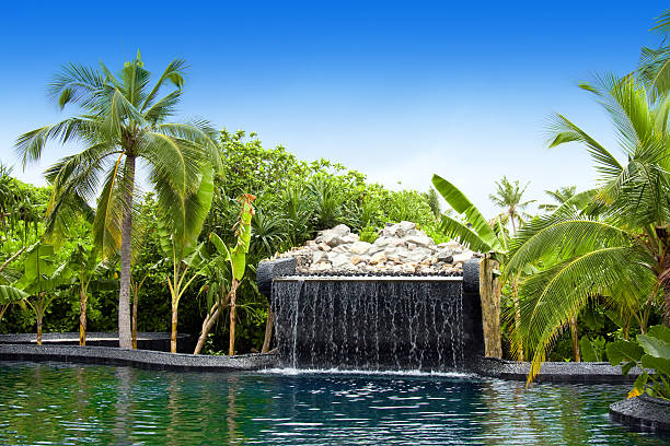 istock Maldives. Pool with small fall in tropical garden. 482349980