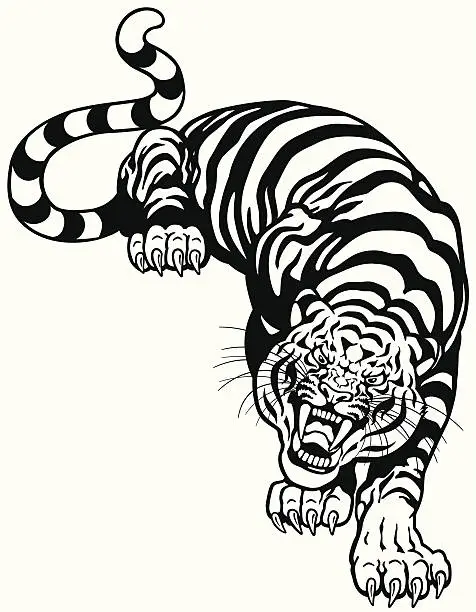 Vector illustration of tiger black white