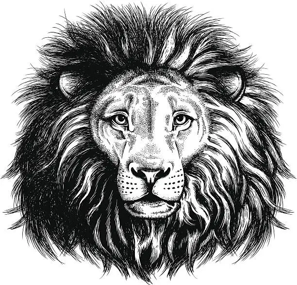 Vector illustration of Portrait of a lion